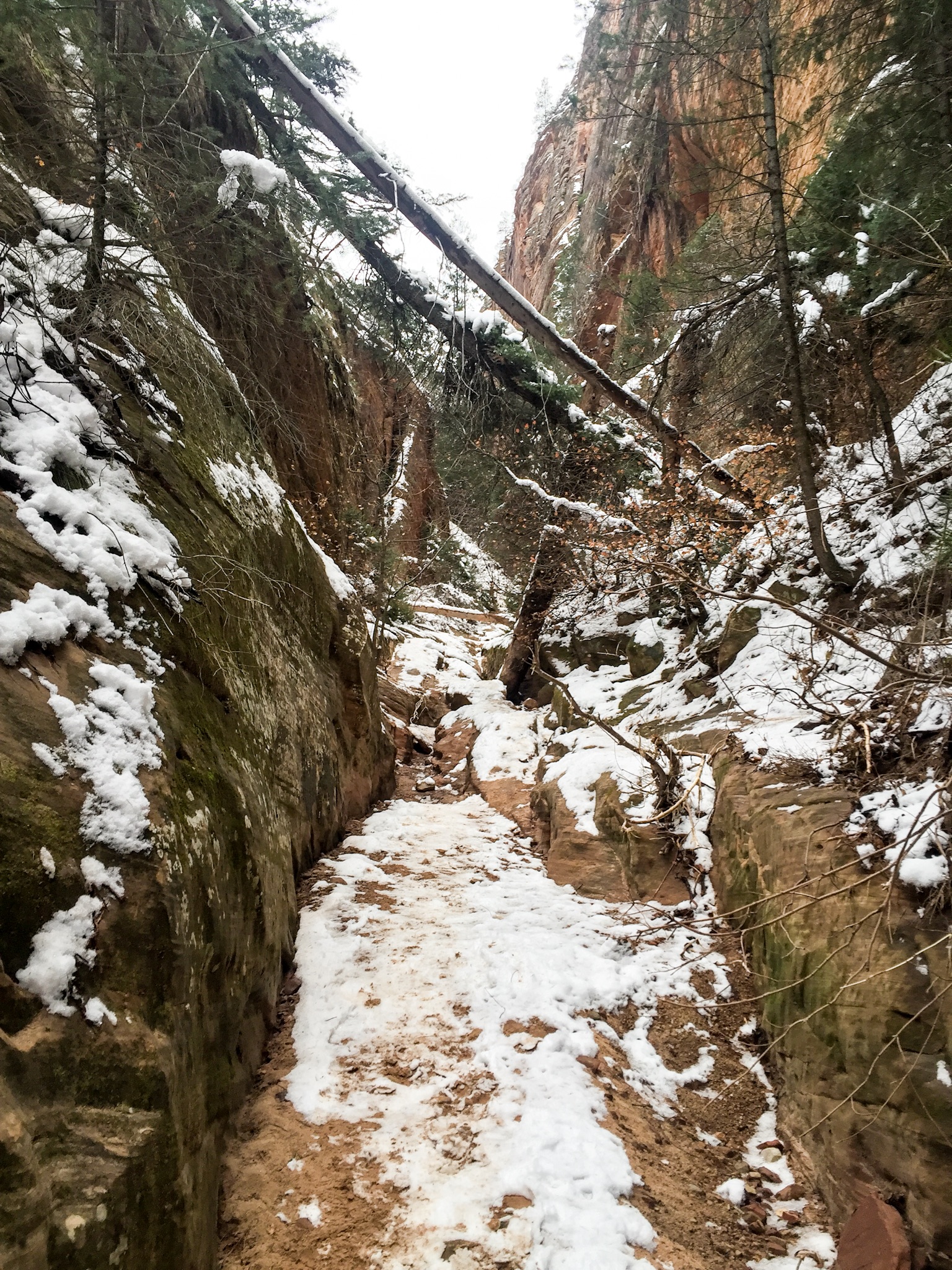 Hidden Canyon Trail