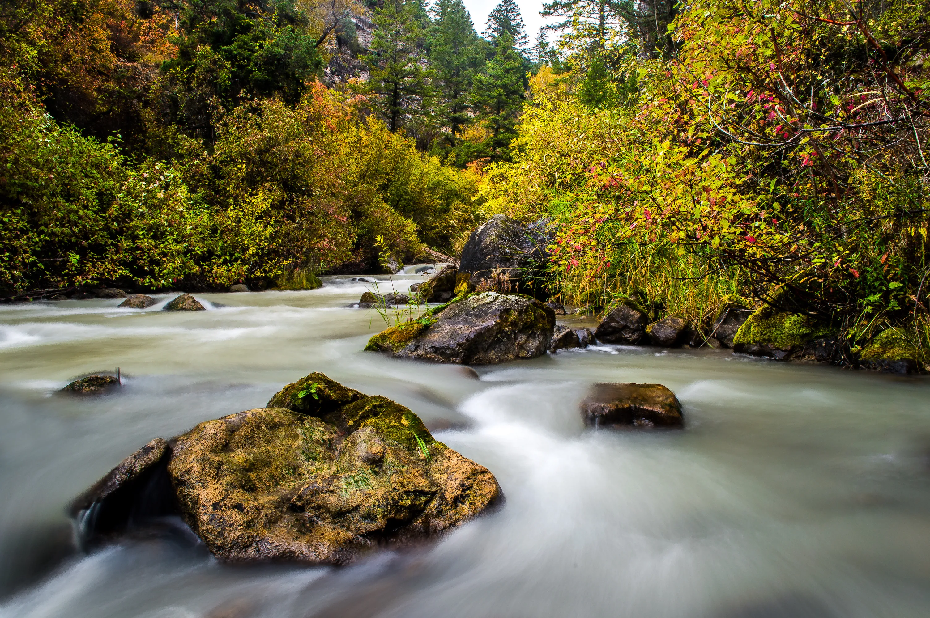 Hike along Palisades Creek
