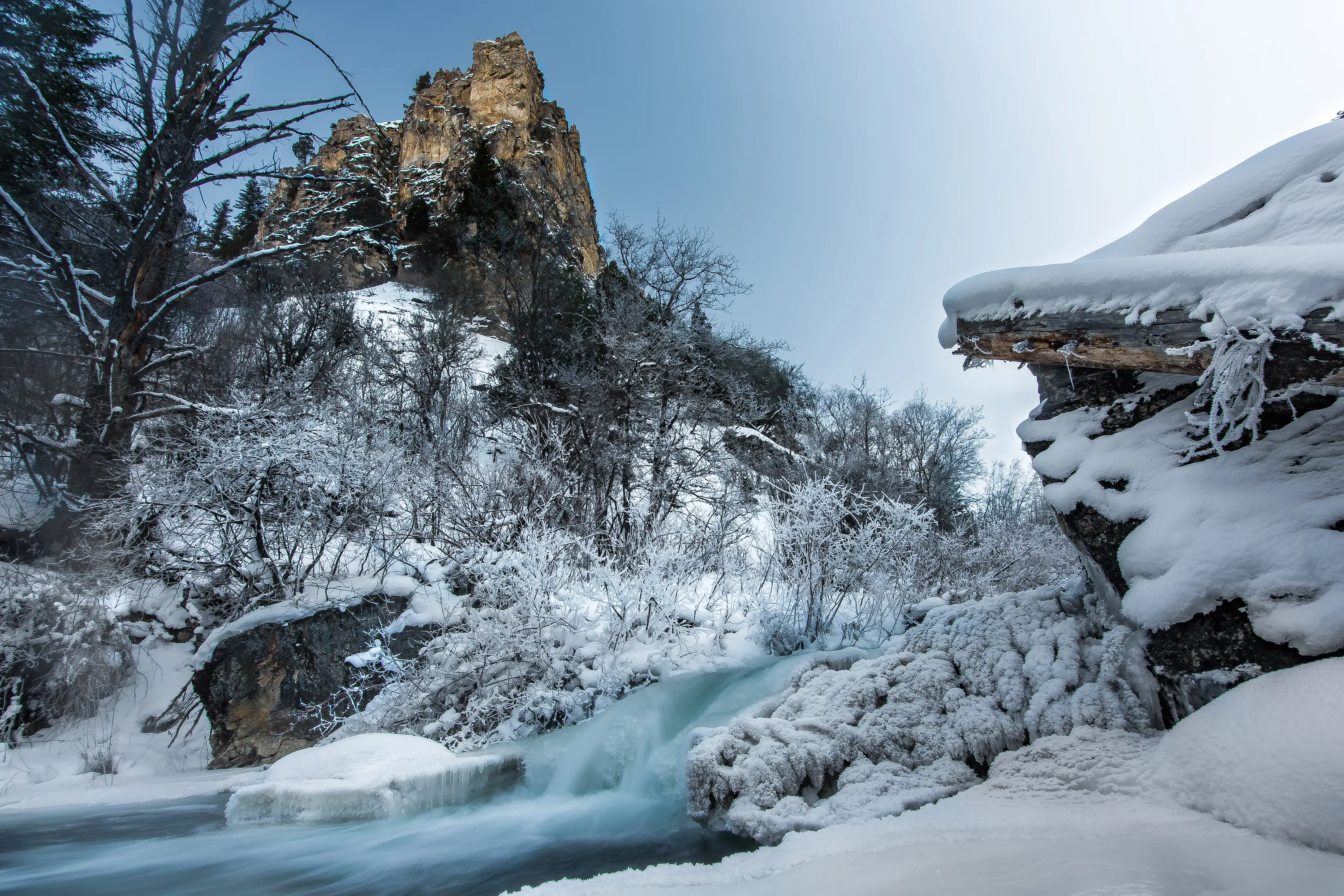 Hike along Palisades Creek
