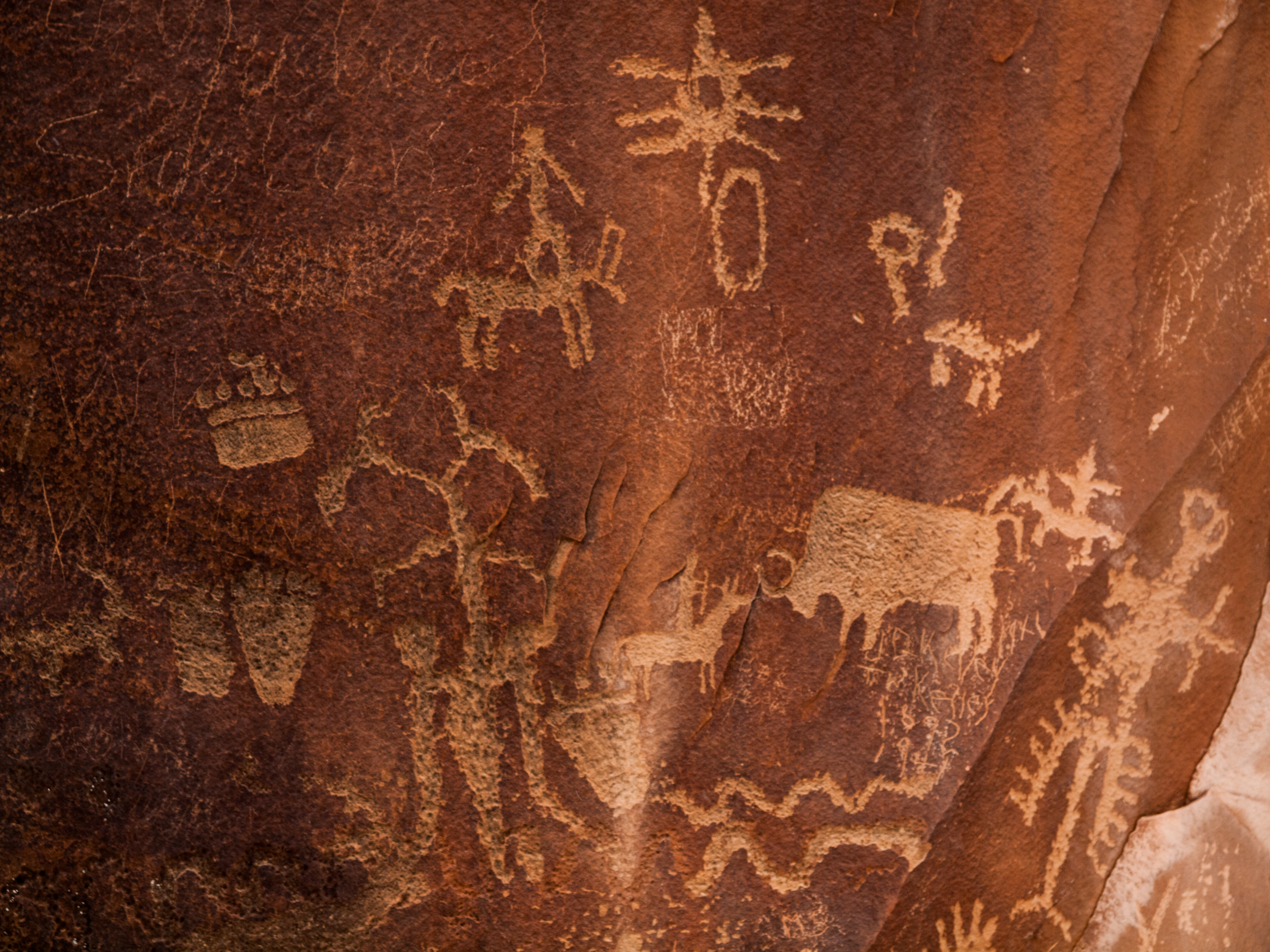 Explore the Newspaper Rock Ancient Petroglyphs 