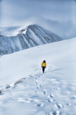 Winter Summit of North Star Mountain