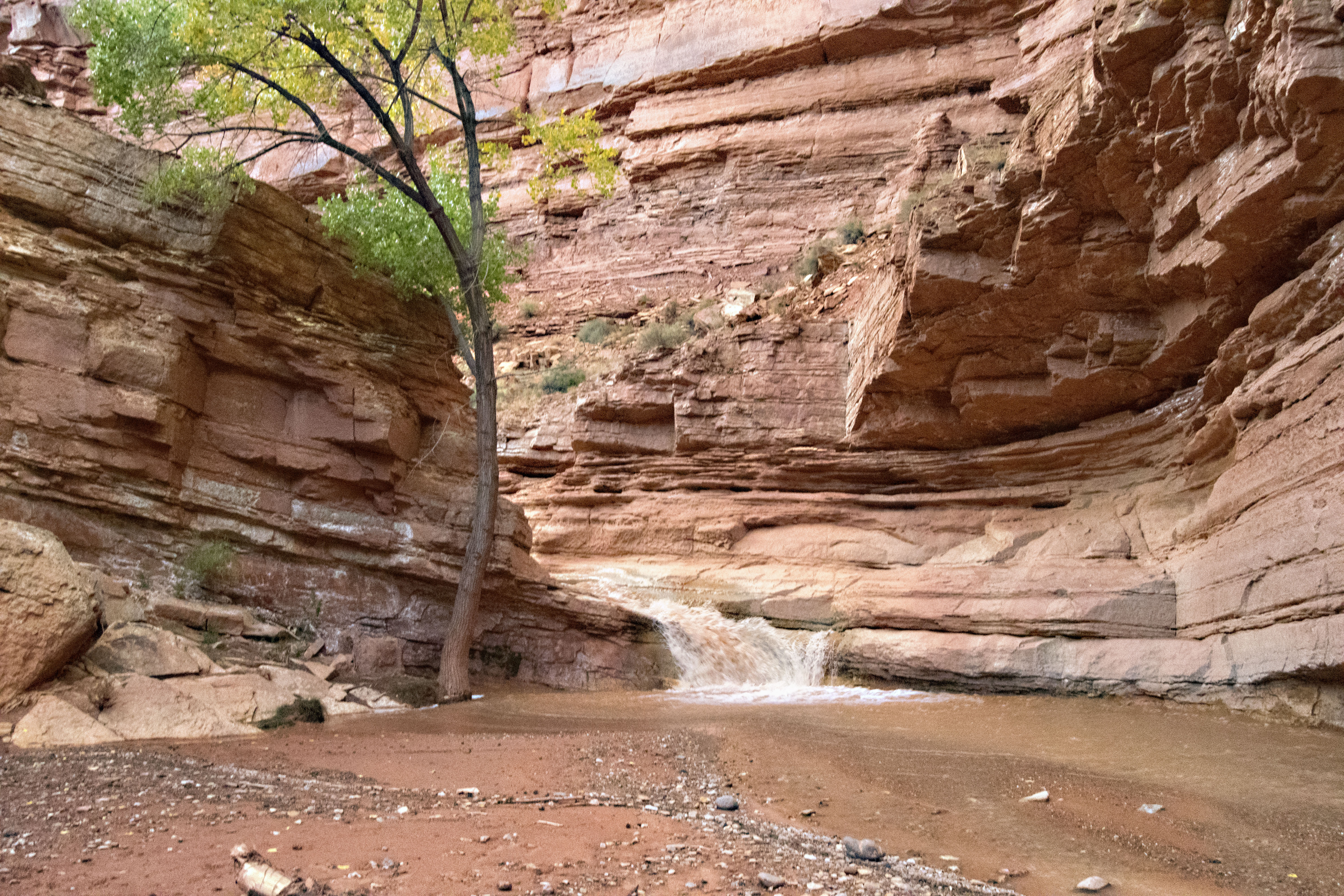 Capitol Reef's Sulphur Creek Route