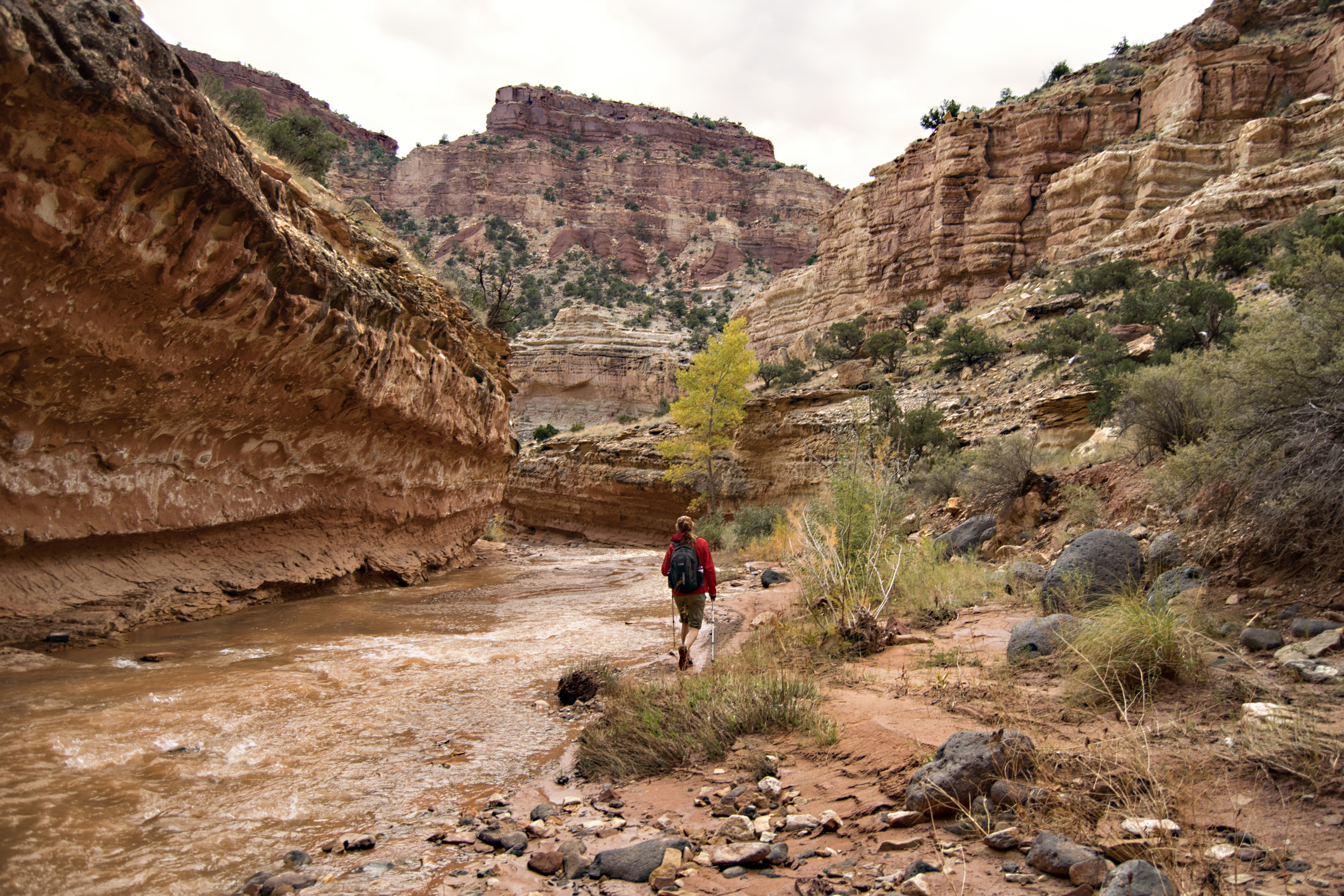 Capitol Reef's Sulphur Creek Route