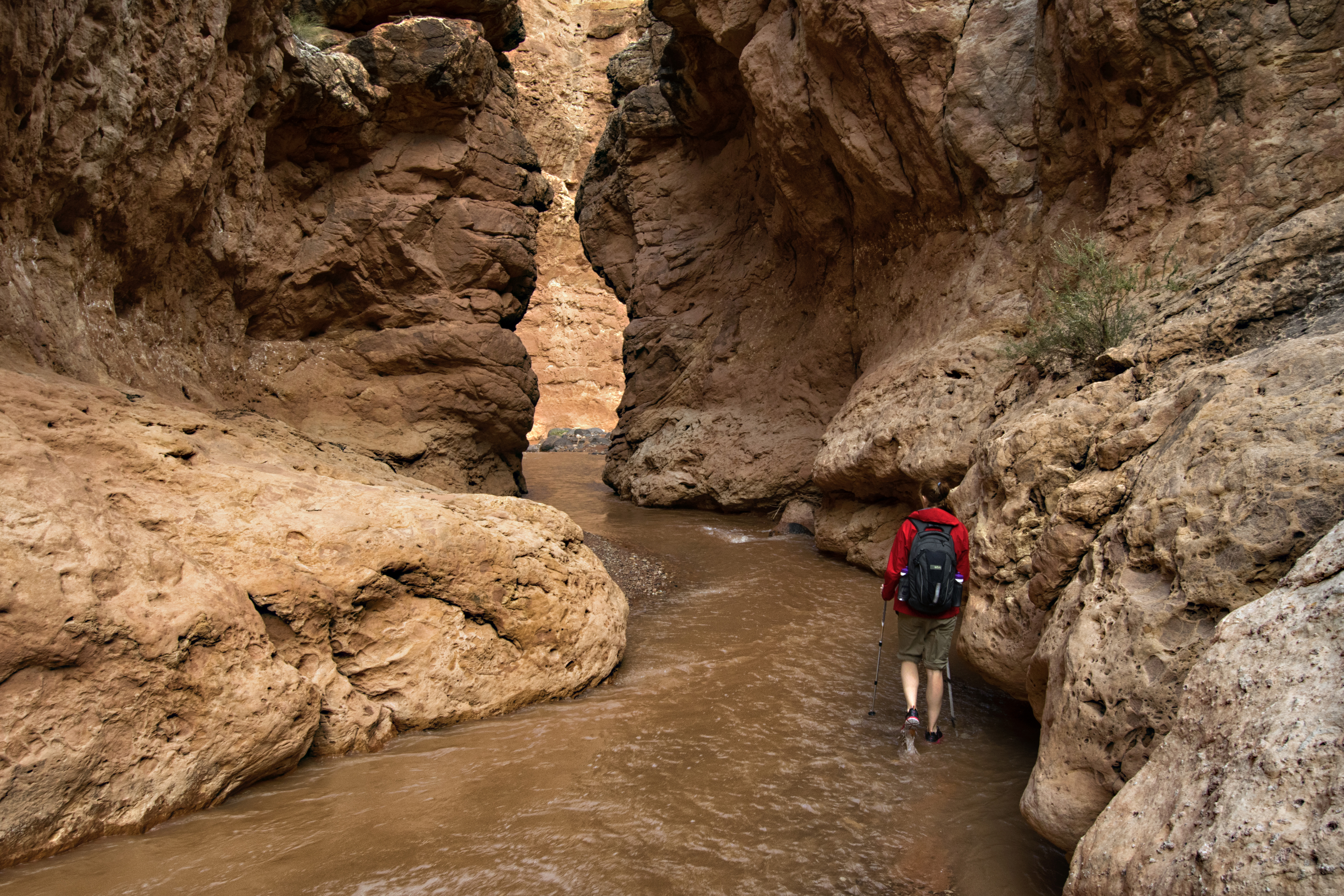 Capitol Reef's Sulphur Creek Route