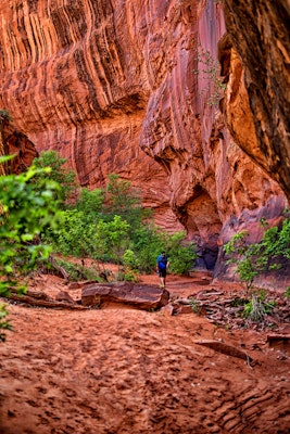 Hike to the Golden Cathedral, Utah