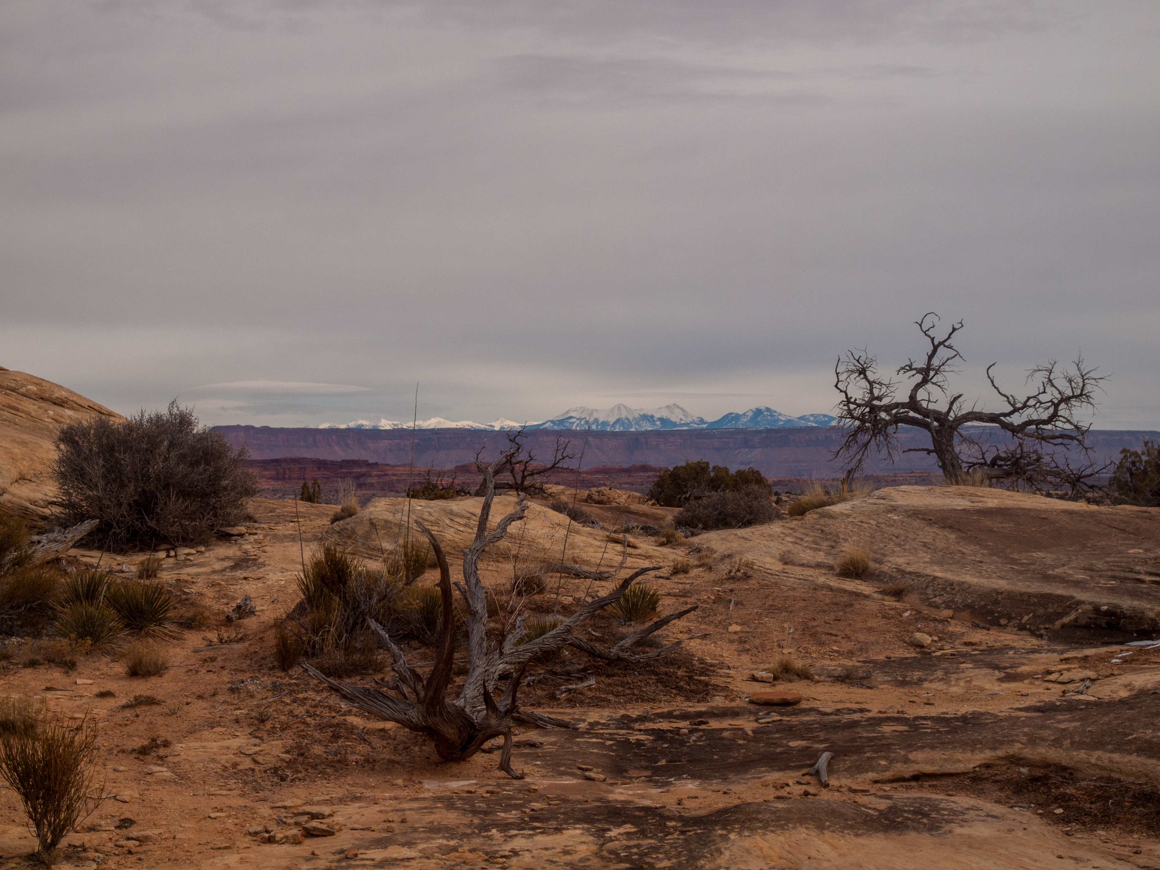 Hike Needle's Slickrock Foot Trail, Monticello, Utah