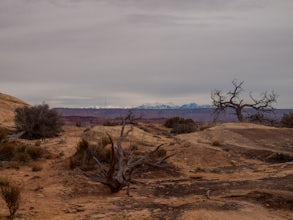 Hike Needle's Slickrock Foot Trail