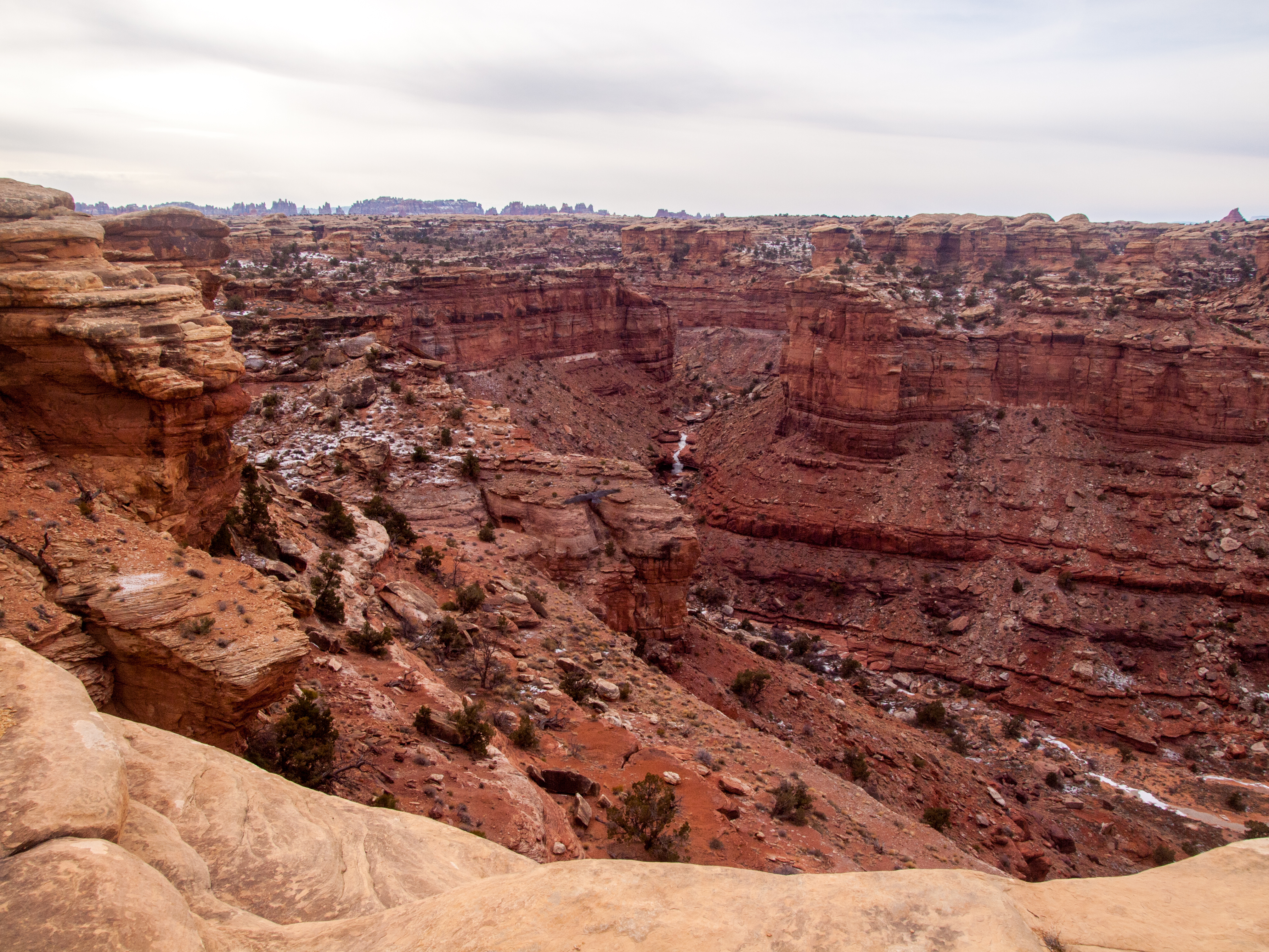 Slickrock Foot Trail