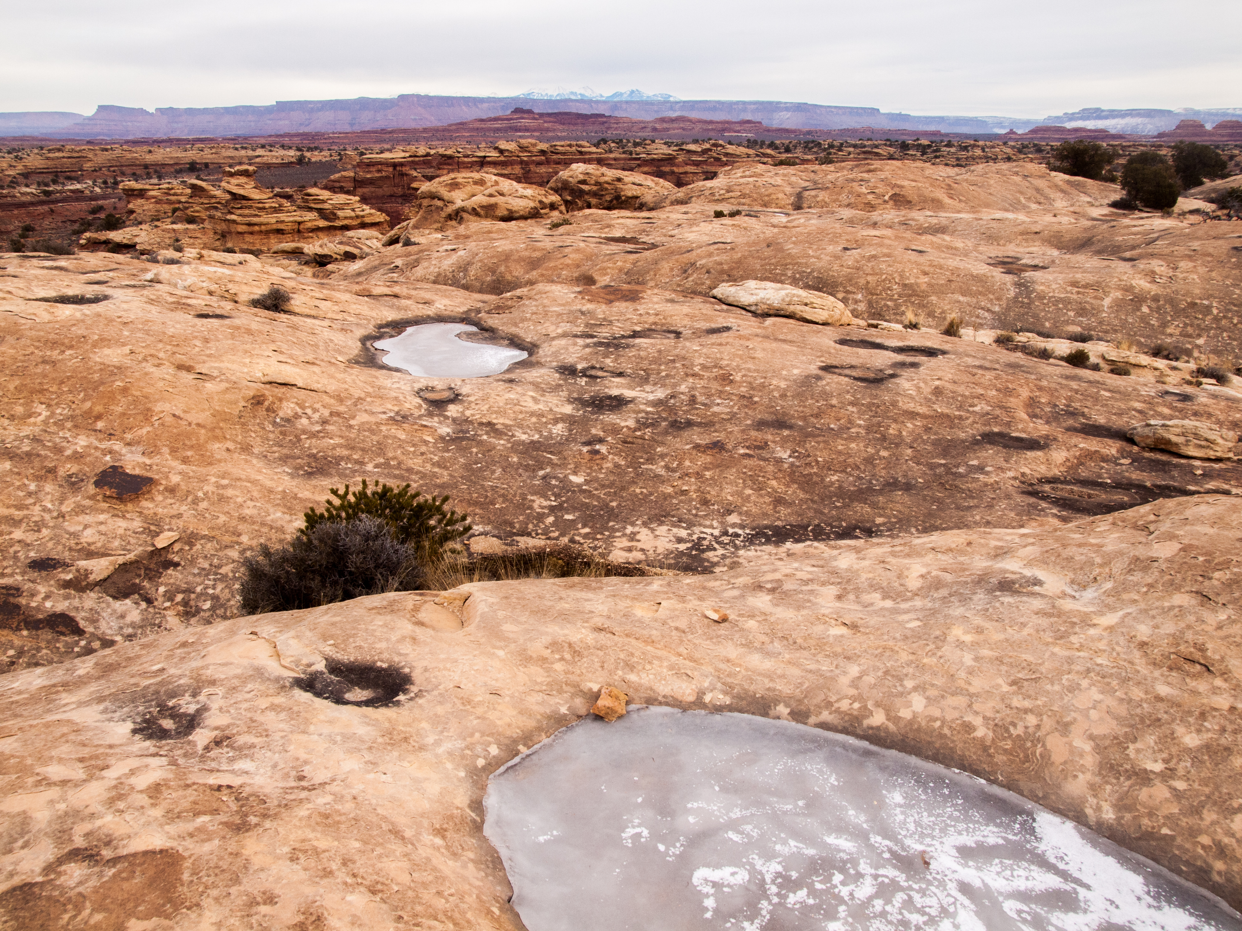 Slickrock Foot Trail