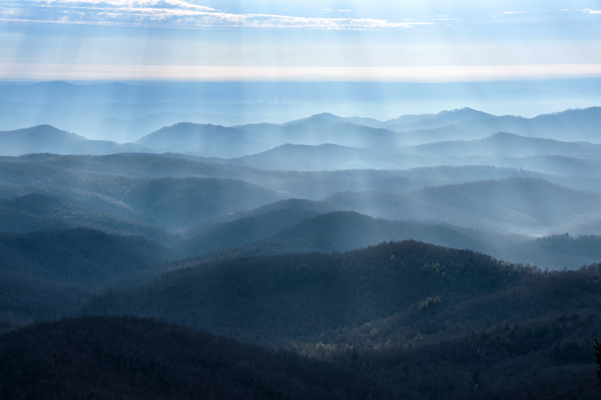Beacon Heights Overlook