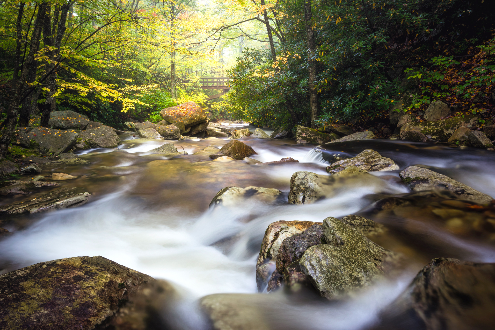 Explore Boone Fork Creek