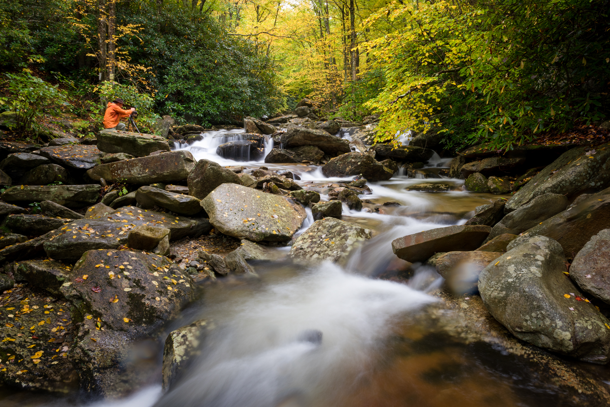 Explore Boone Fork Creek