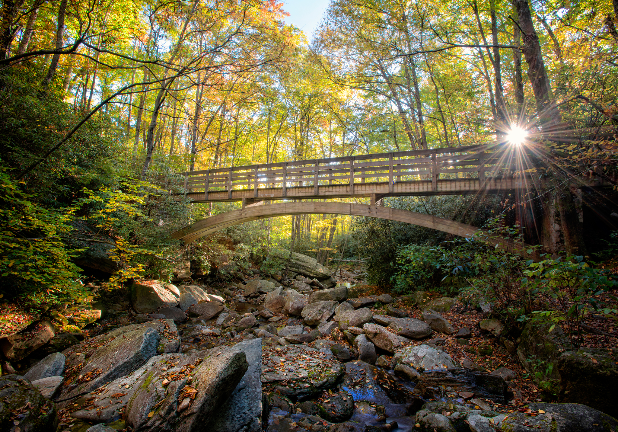 Explore Boone Fork Creek