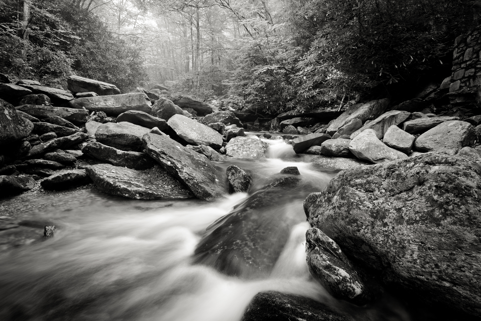 Explore Boone Fork Creek
