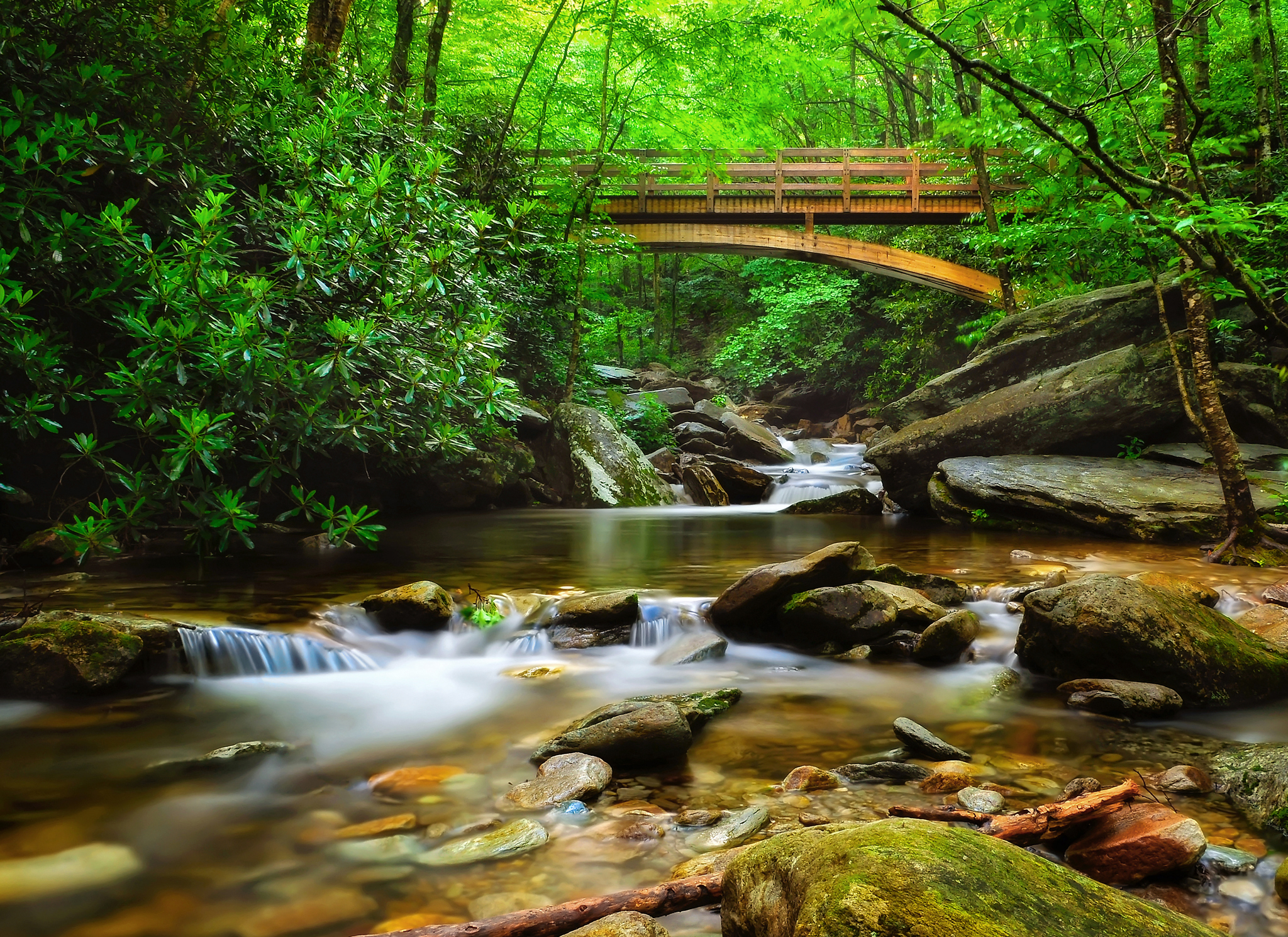 Explore Boone Fork Creek