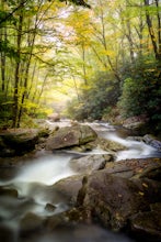 Explore Boone Fork Creek