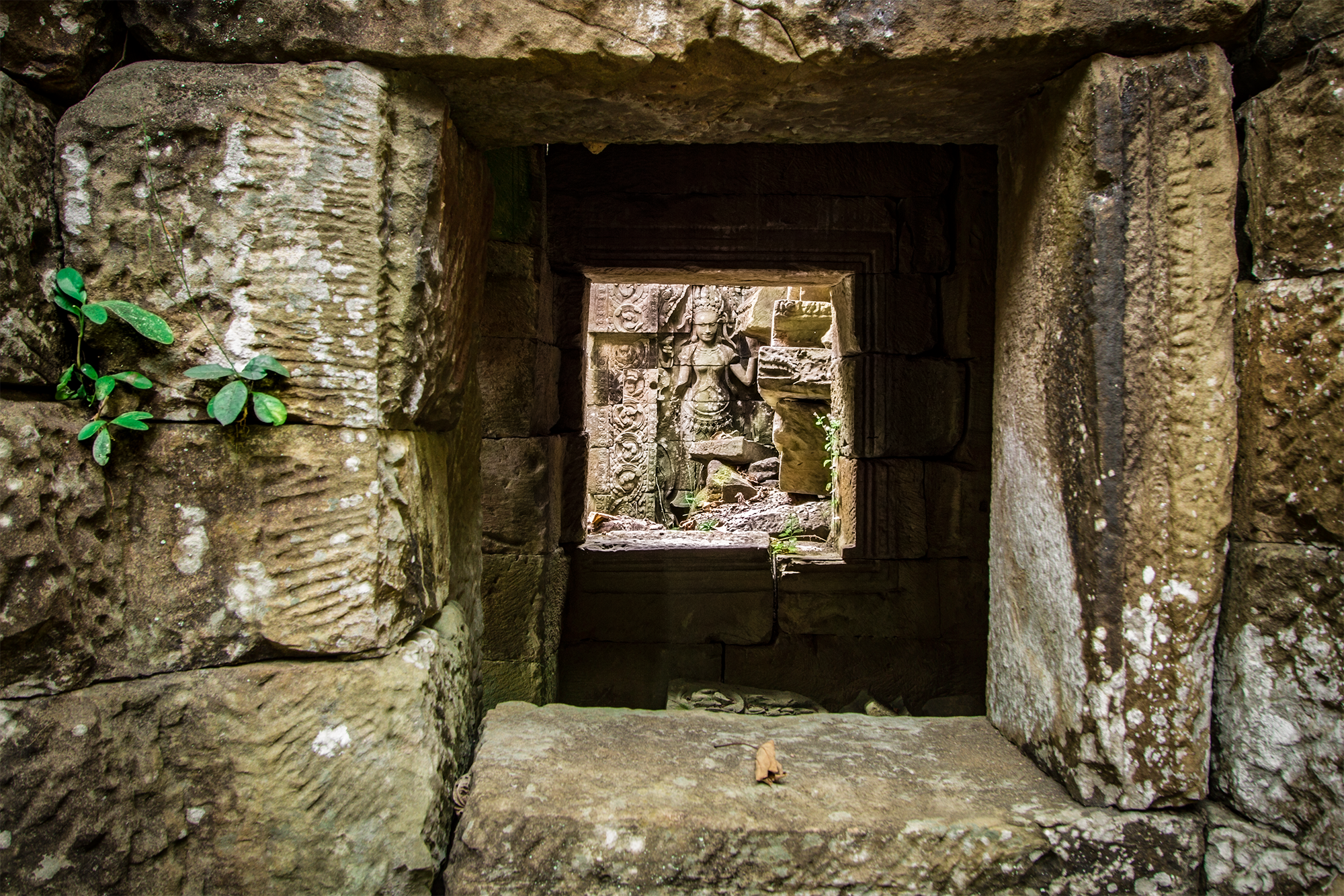 Photograph Preah Khan Temple