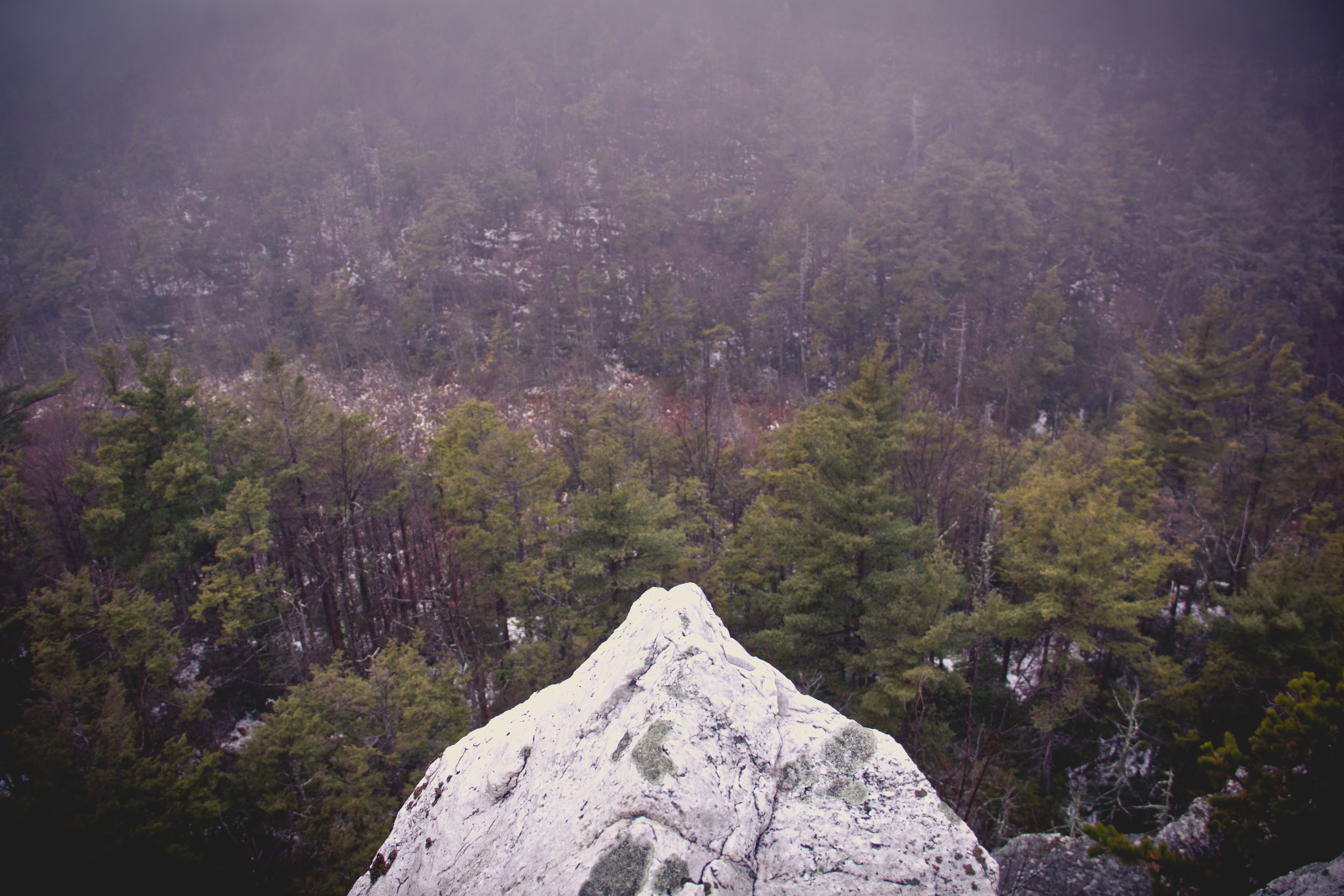 Hike Gertrude's Nose Loop/Millbrook Mountain