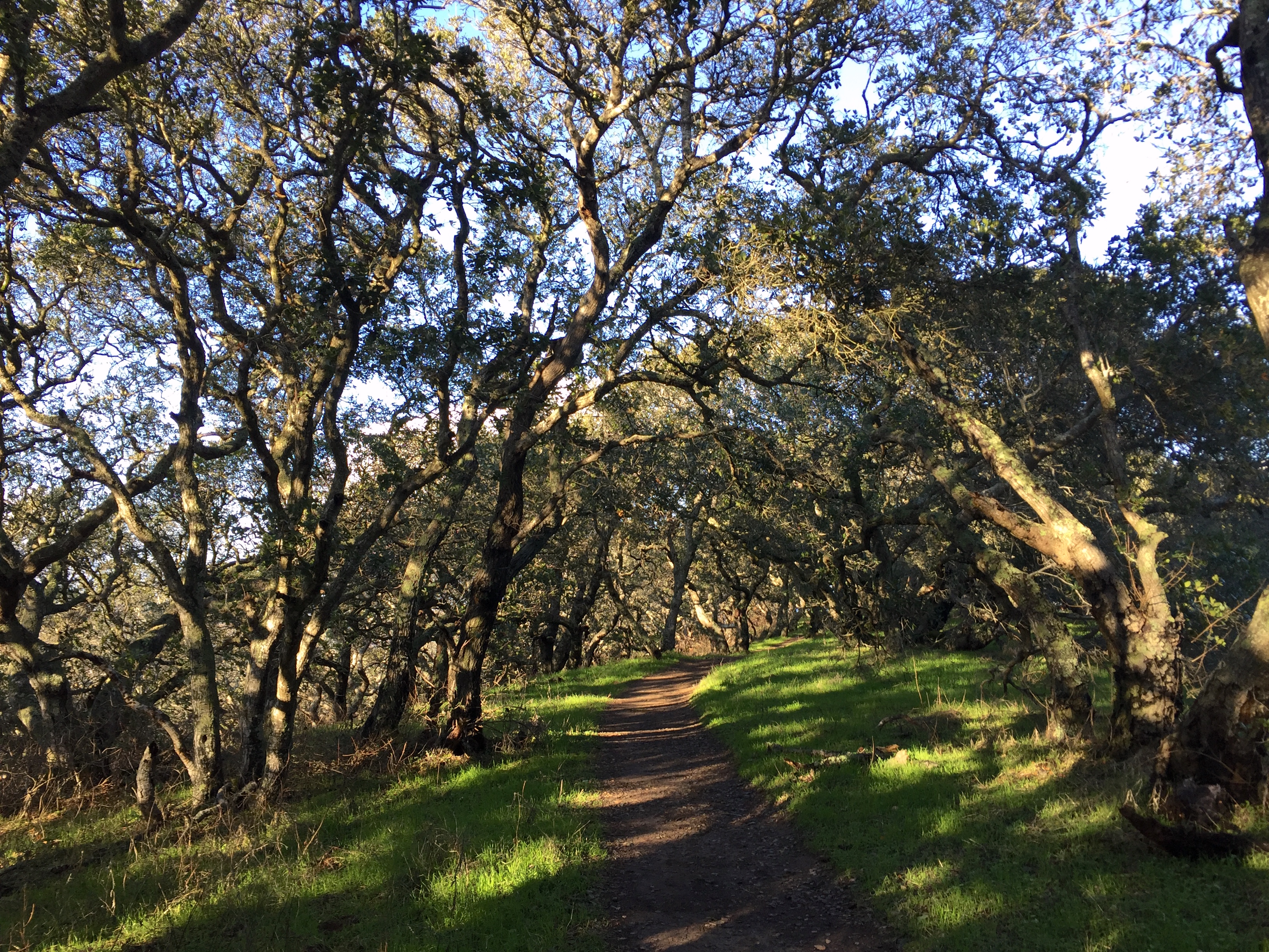 Helen Putnam Regional Park Loop