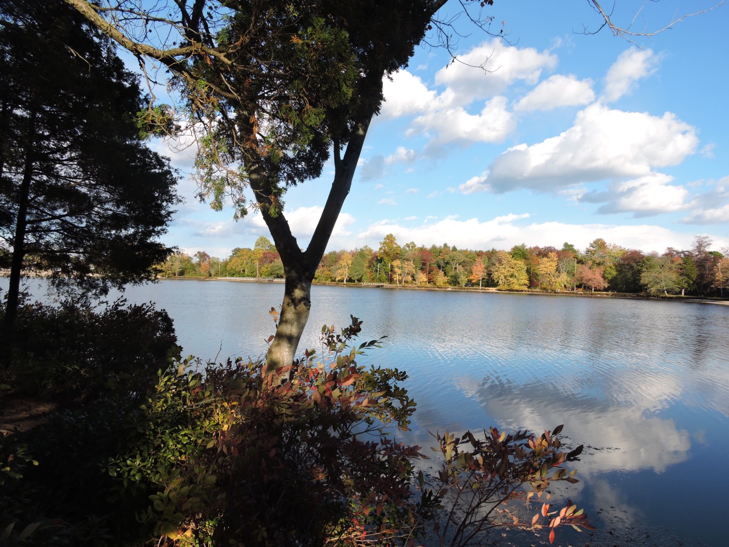 Relax at Lake Horicon