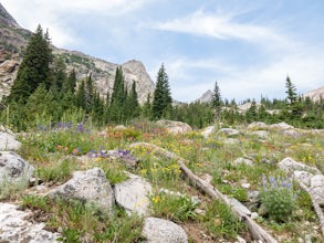 Hike to Johnstone Pass 