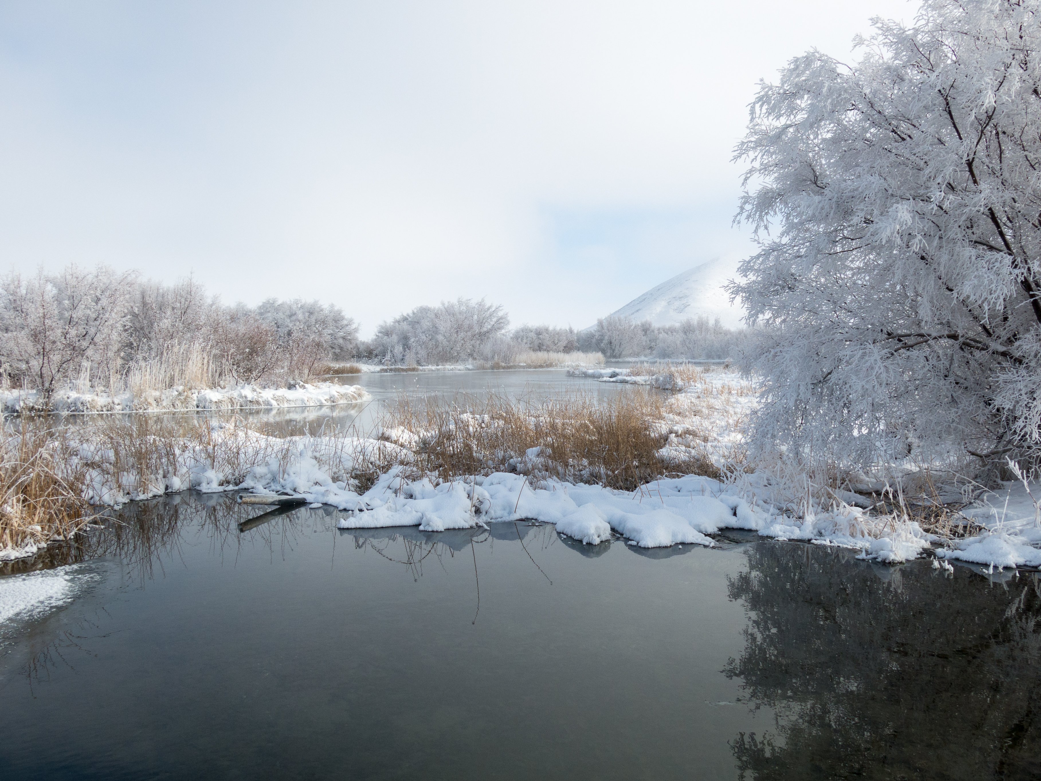Hike Along Silver Creek