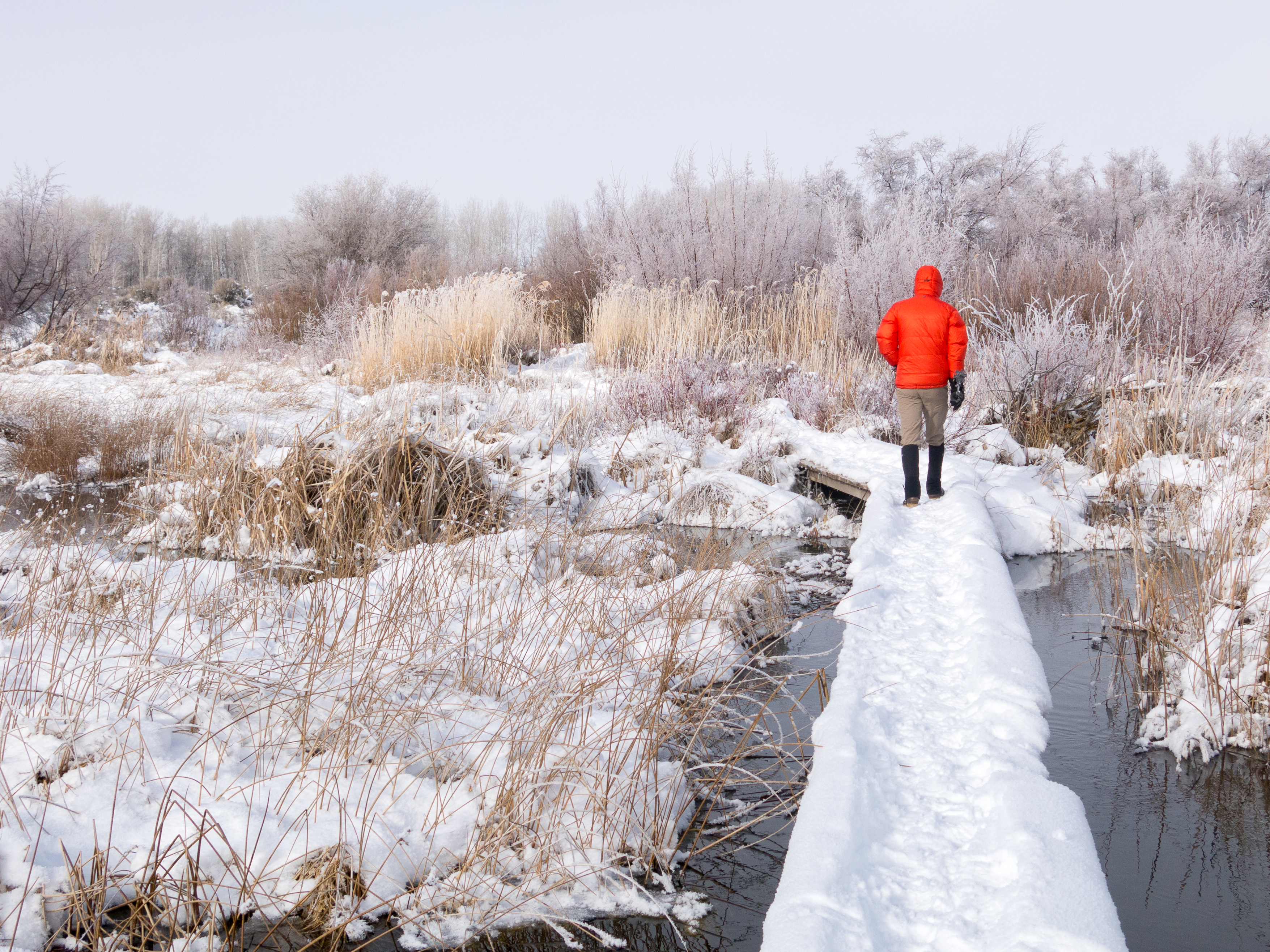 Hike Along Silver Creek