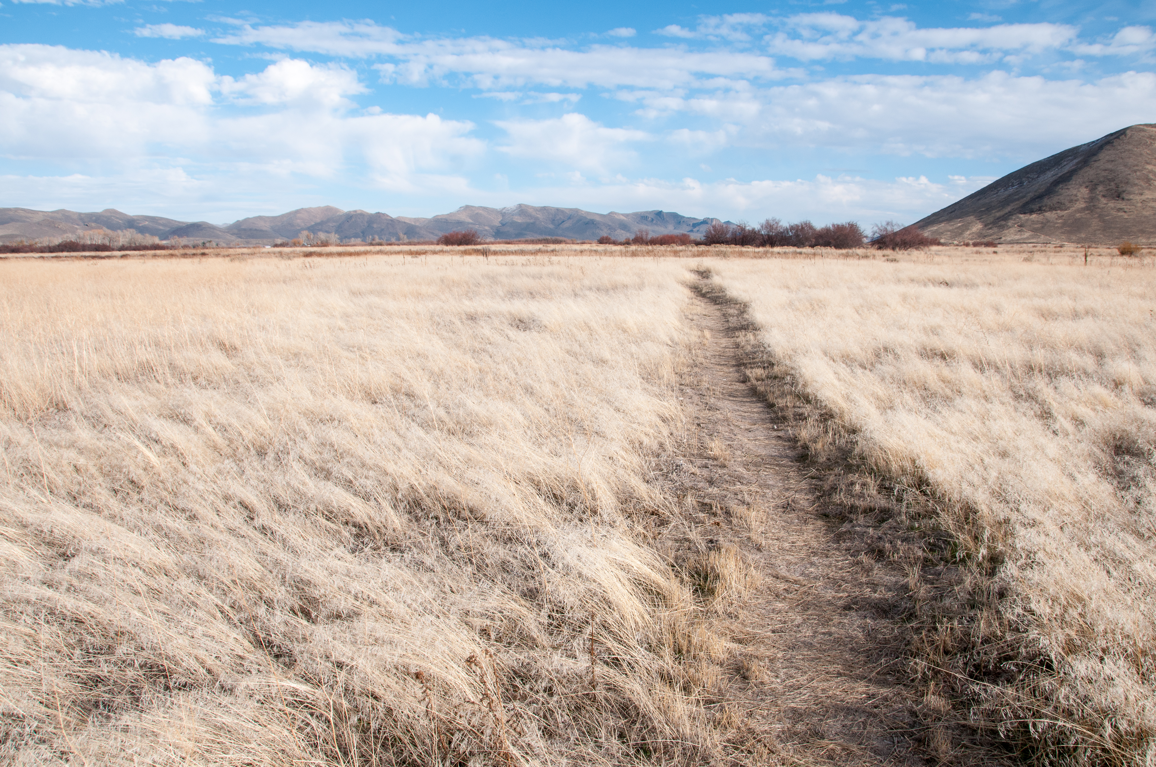 Hike Along Silver Creek