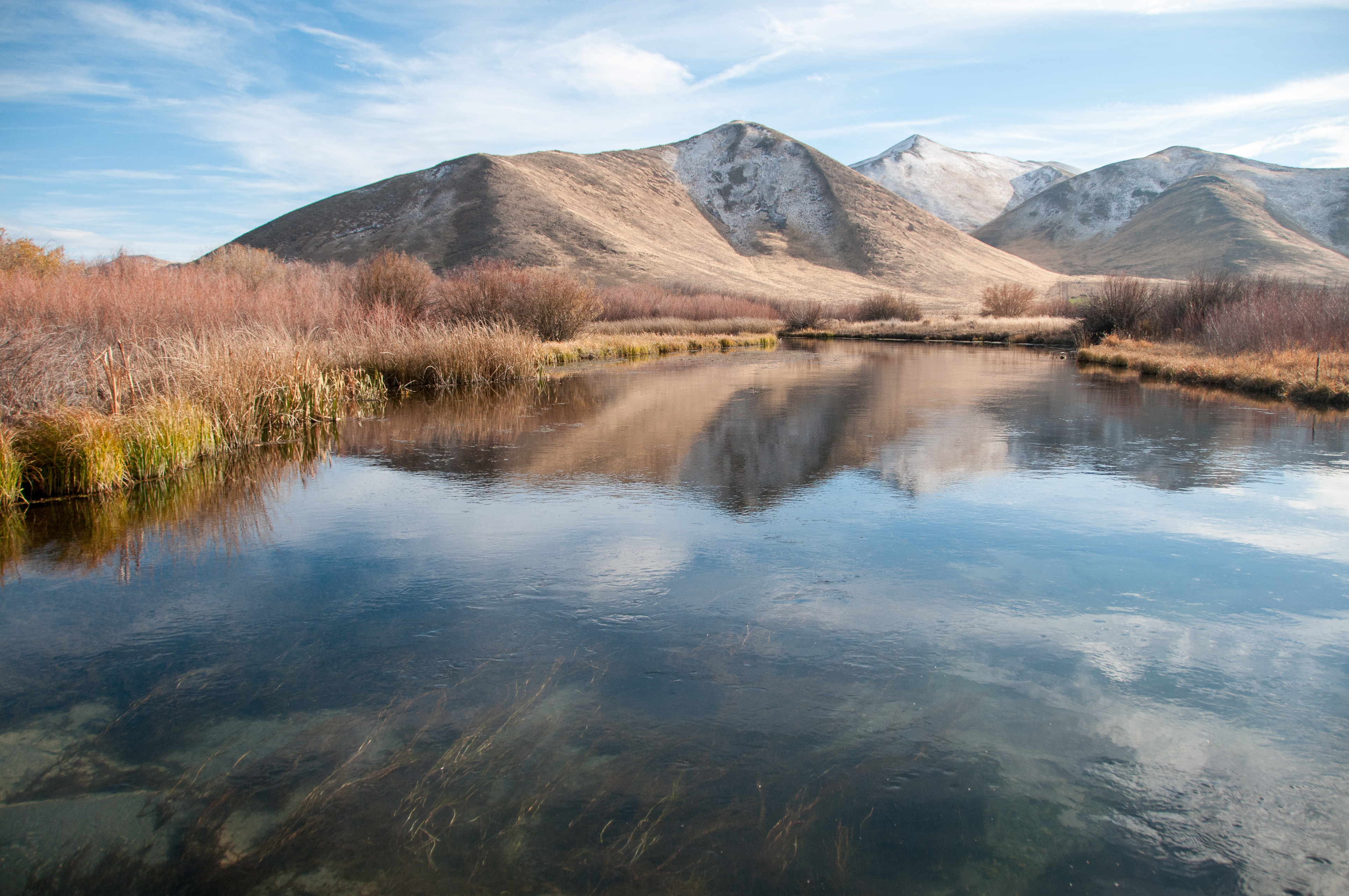 Hike Along Silver Creek