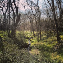 Hike the KU Field Station Trails