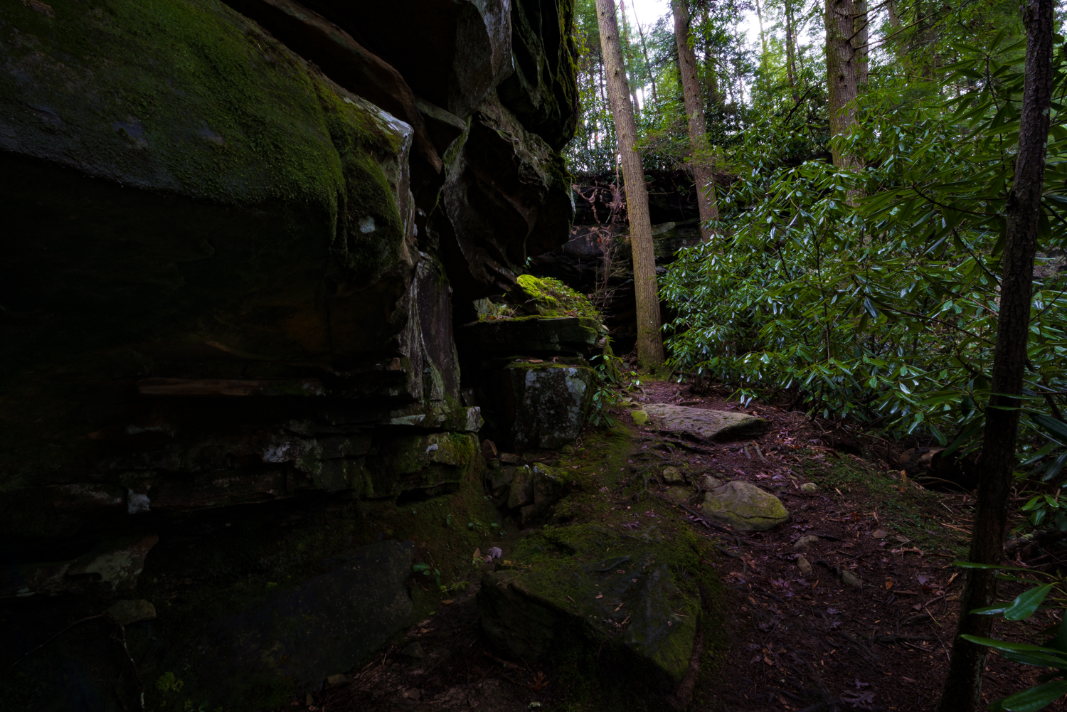 Northrup Falls