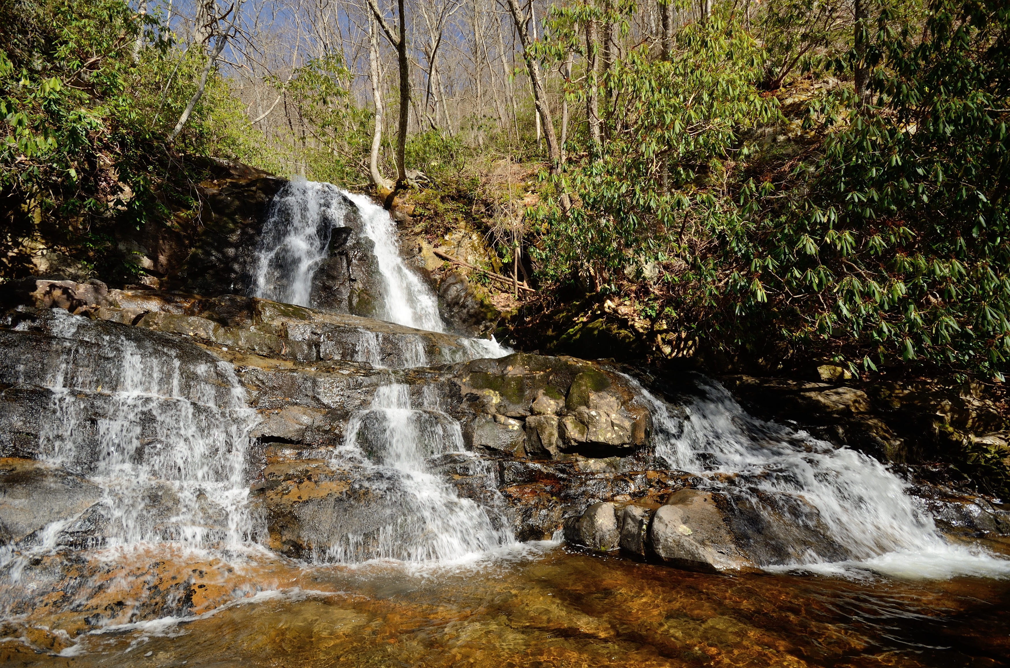 Laurel Falls Trail