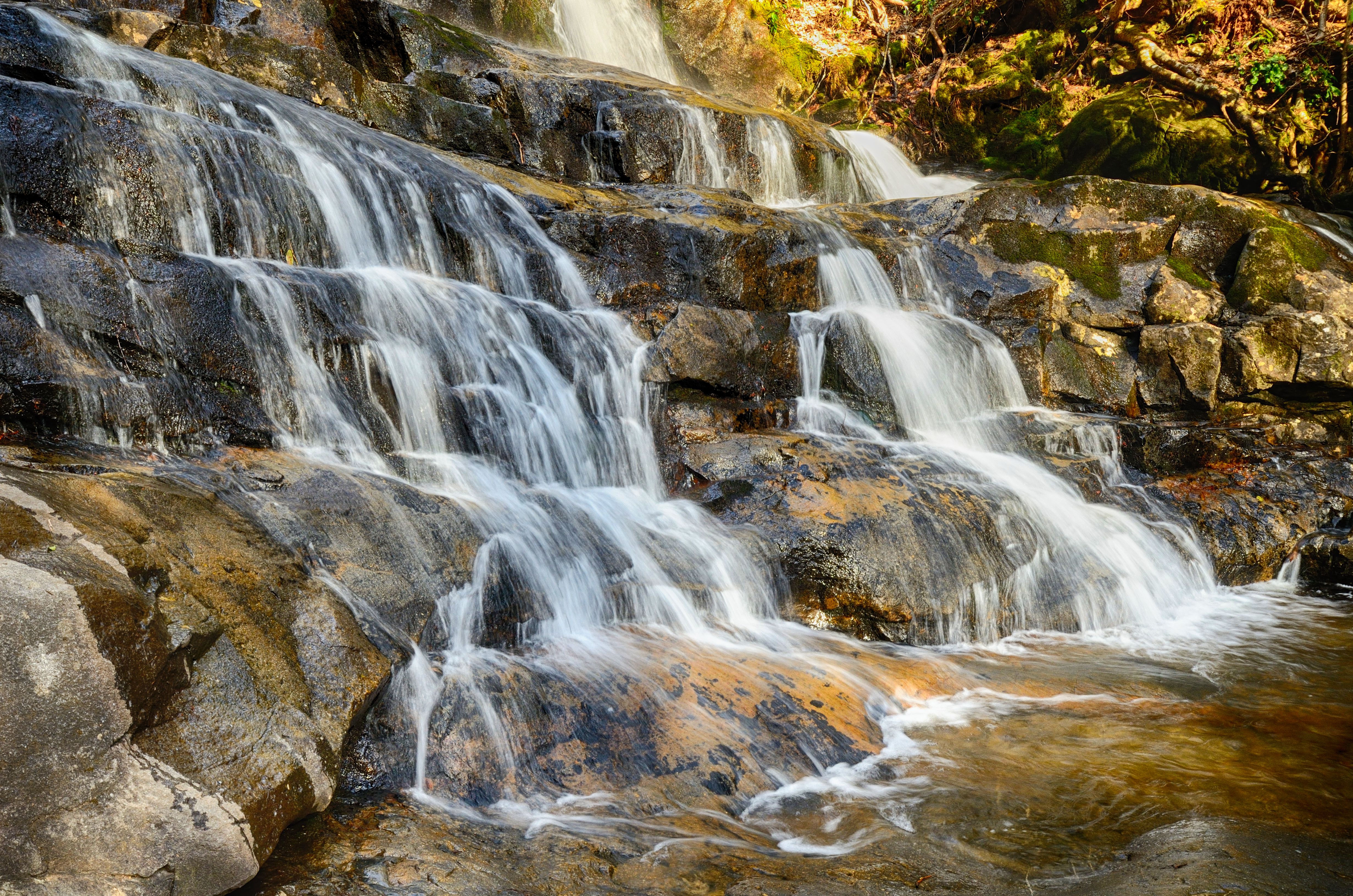 Laurel Falls Trail