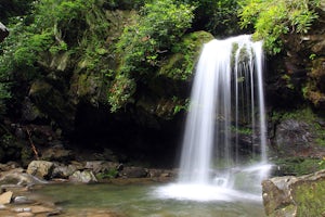 Grotto Falls Trail
