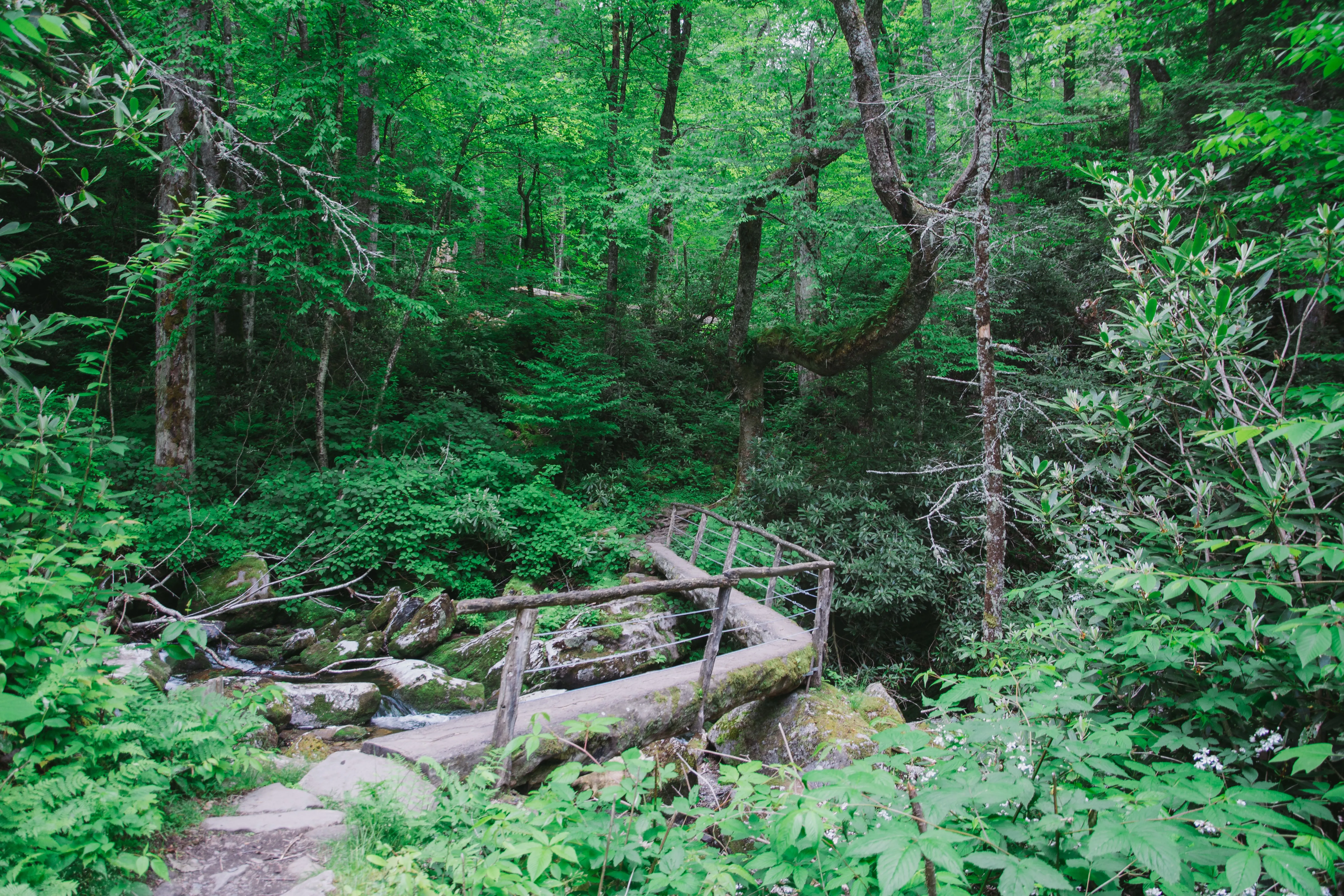 Hike to the Ramsey Cascades