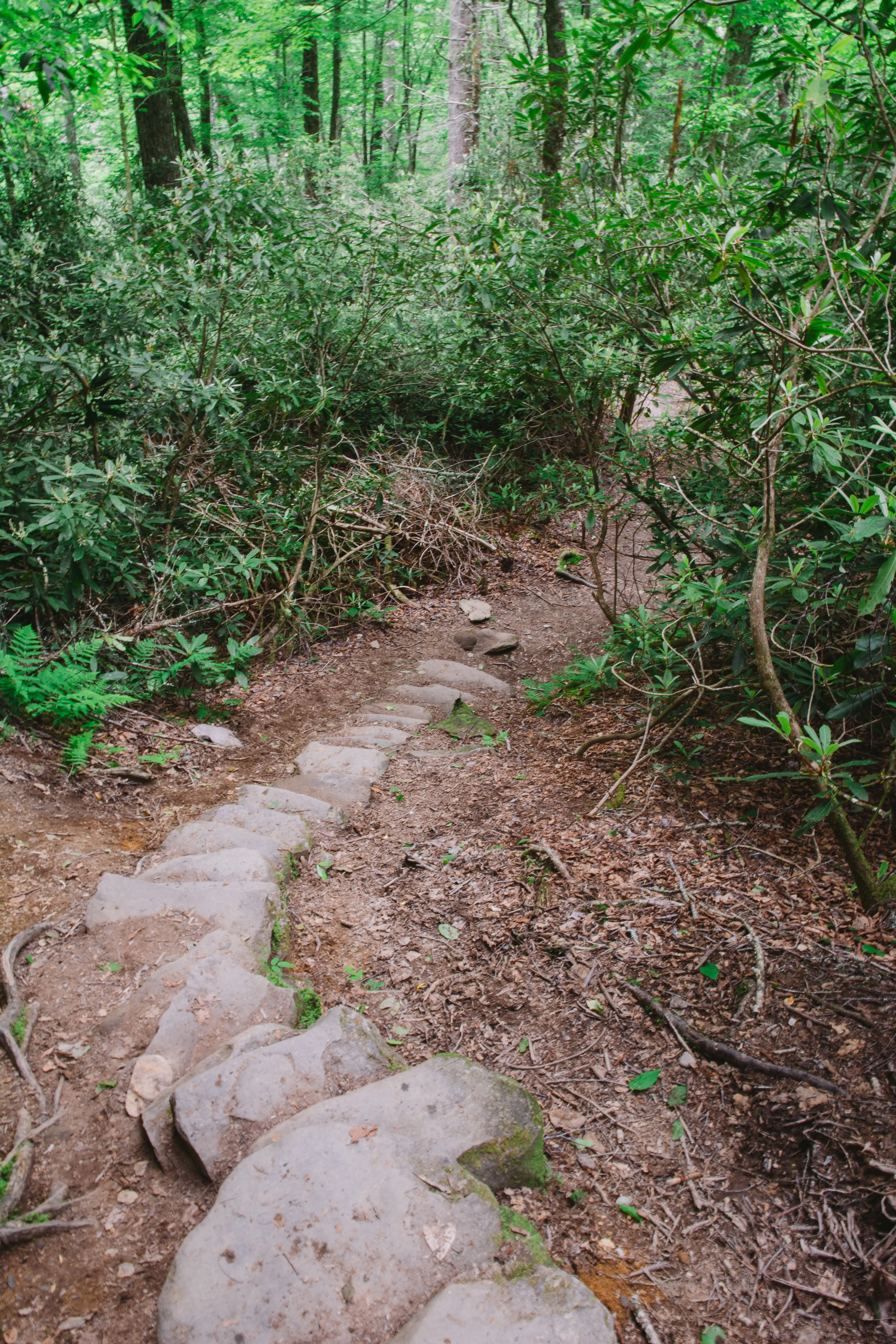 Hike to the Ramsey Cascades