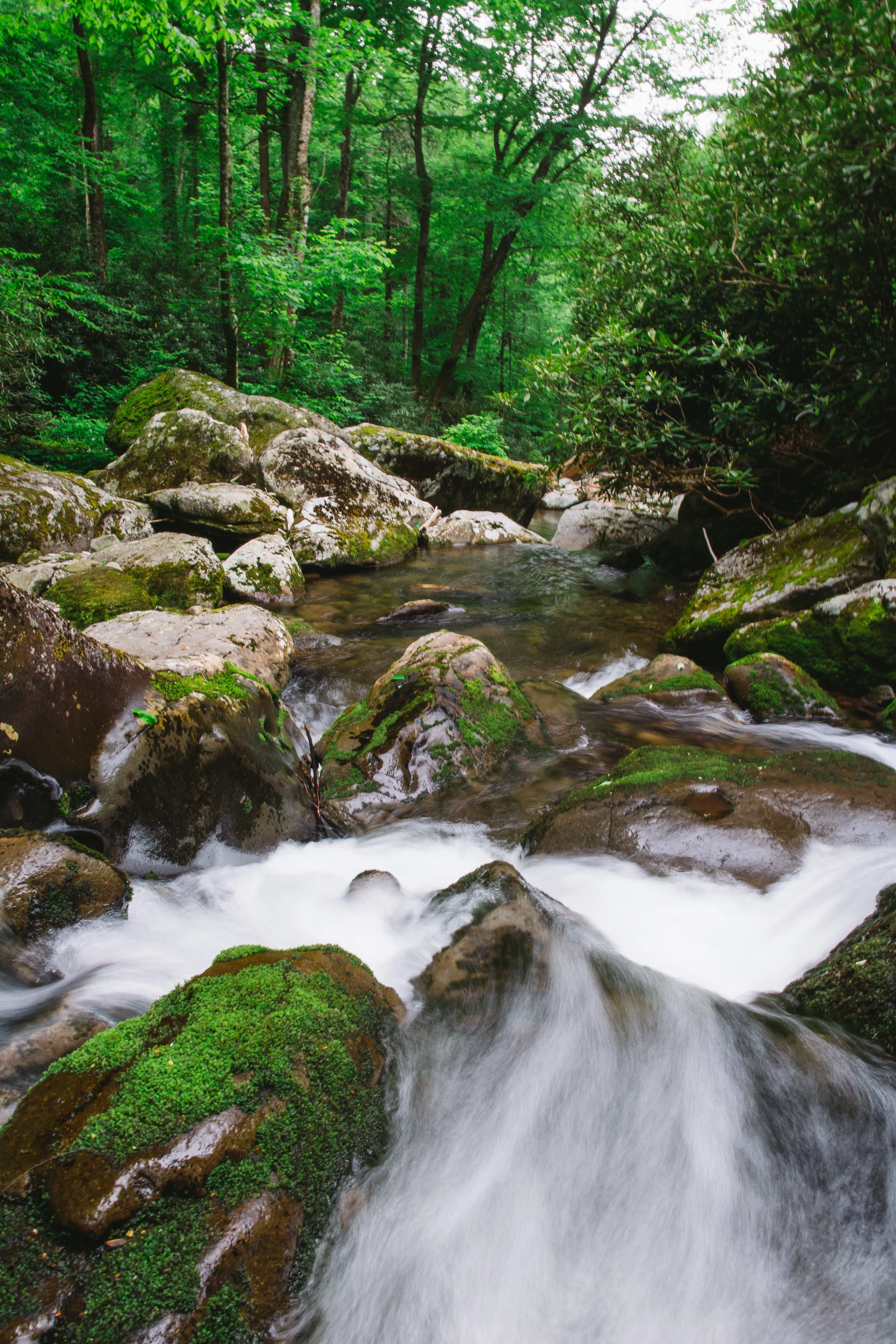 Hike to the Ramsey Cascades