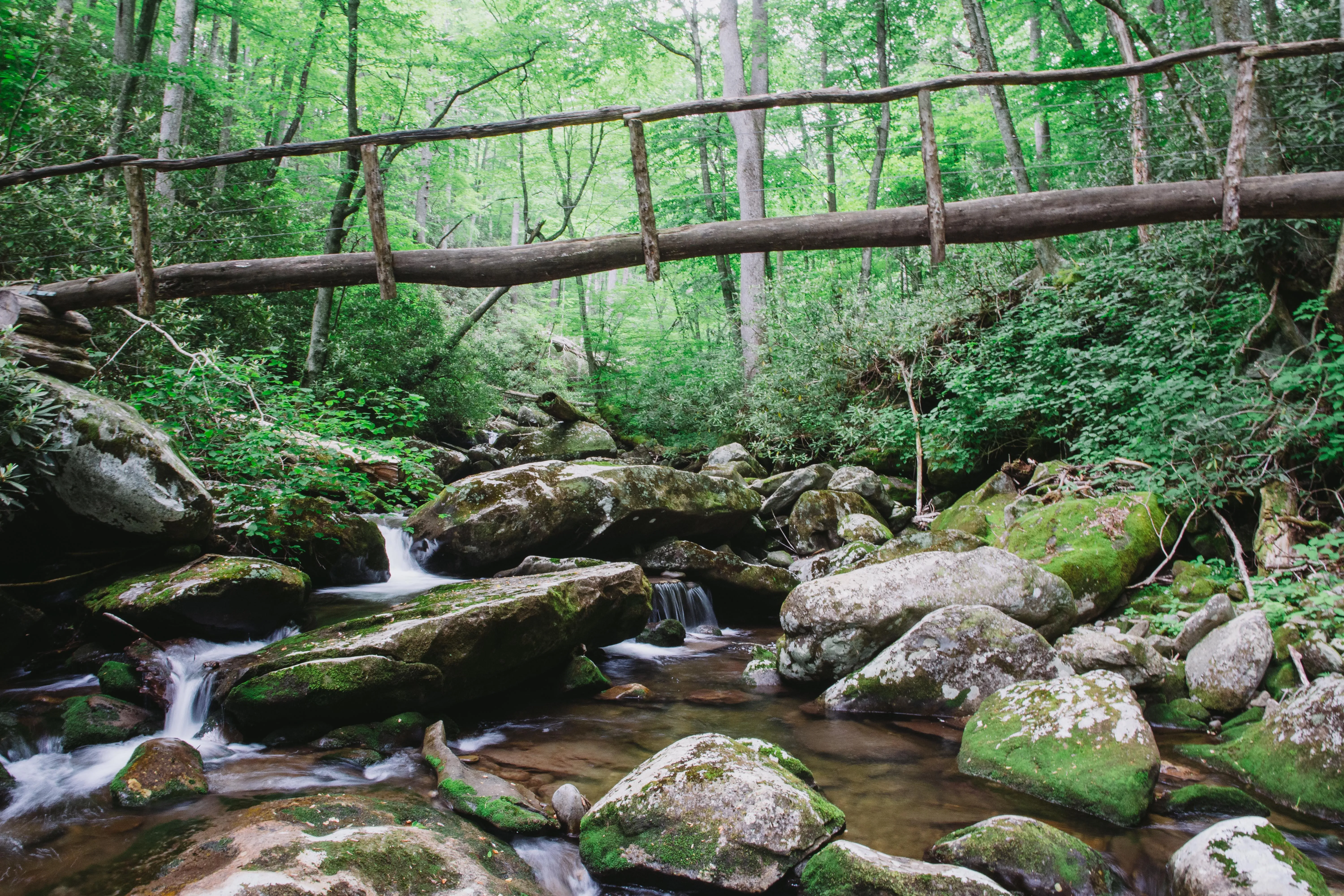 Hike to the Ramsey Cascades