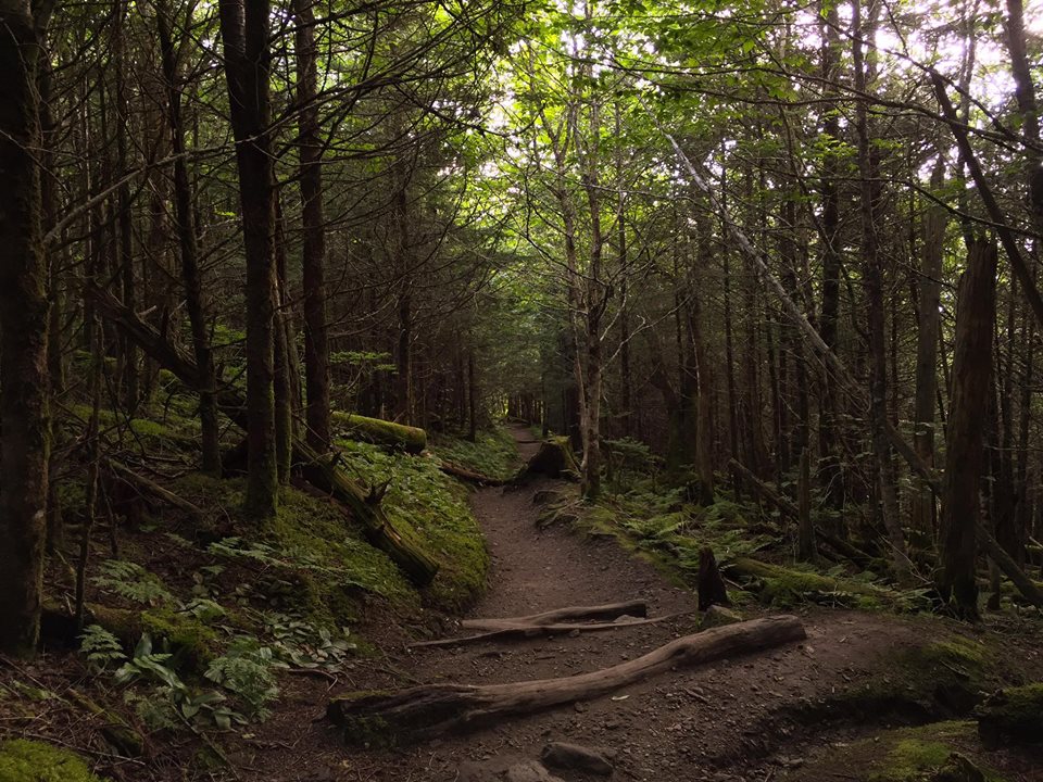 Hike to the Jump-Off