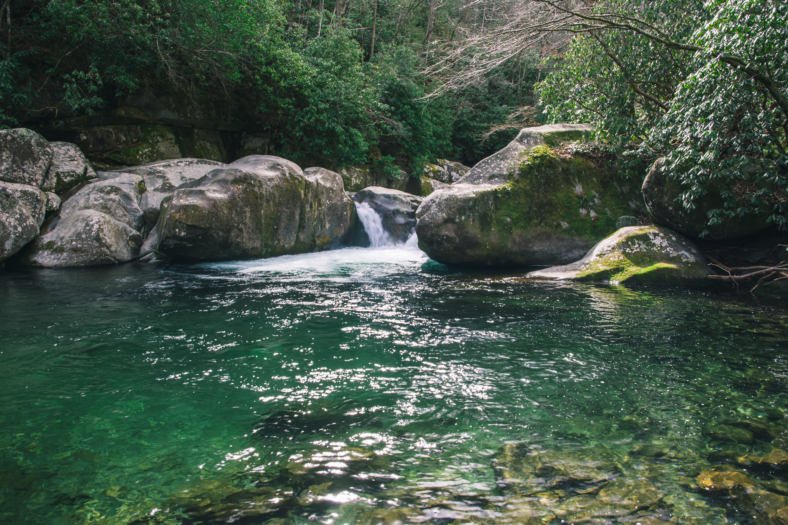 Mouse Creek Falls, Newport, North Carolina