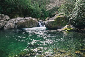 Hike to Mouse Creek Falls