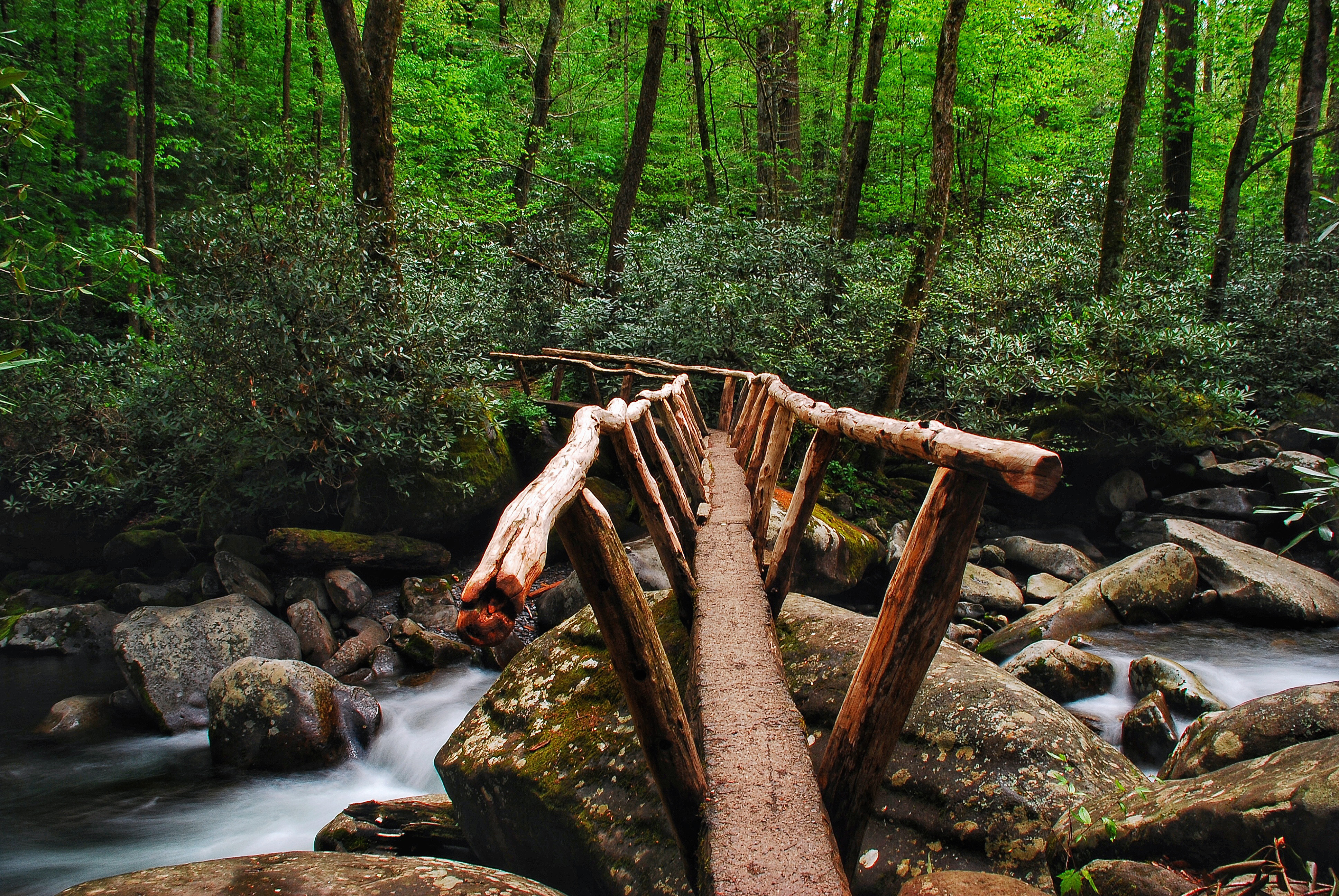 Fern Branch Falls
