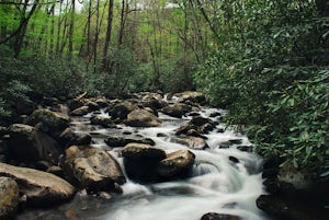 Fern Branch Falls