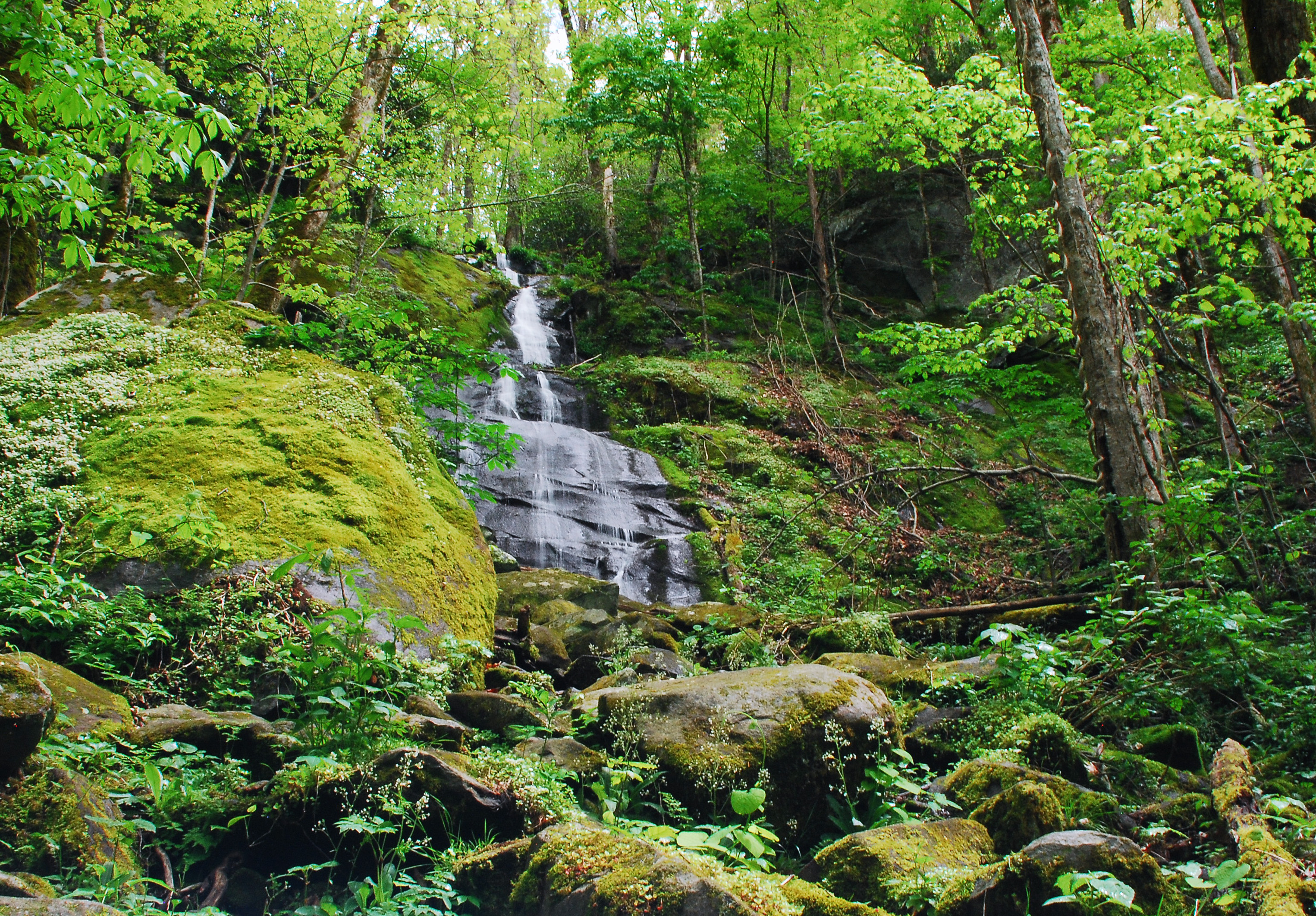 Fern Branch Falls