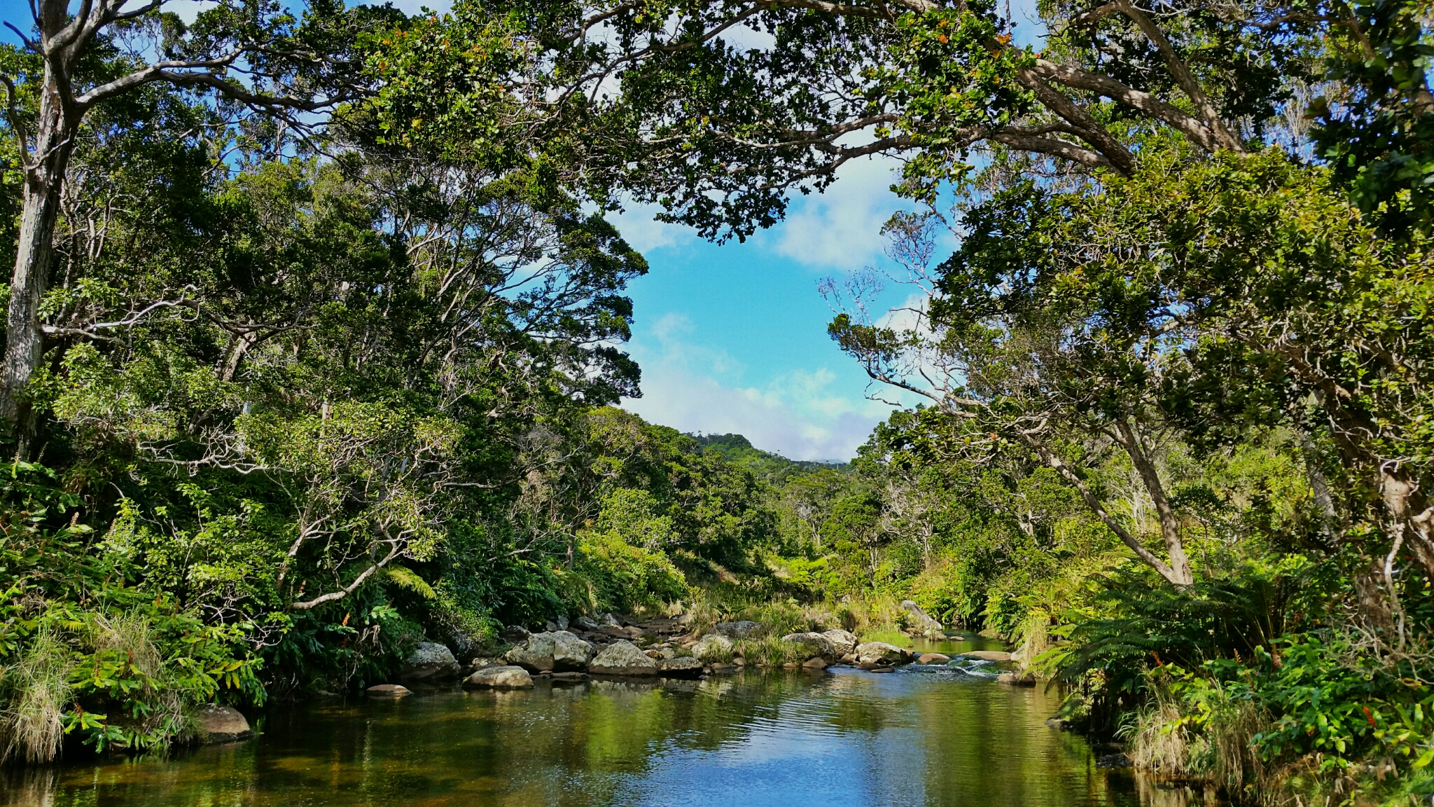 Hike Kawaikoi Stream
