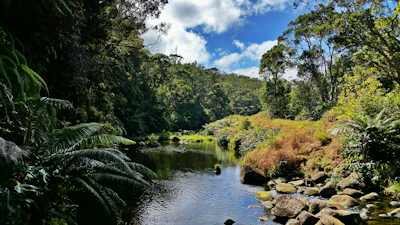 Hike Kawaikoi Stream, Kawaikoi Stream Trailhead