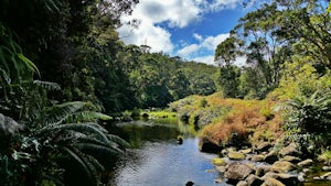 Hike Kawaikoi Stream