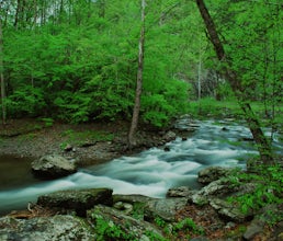 Roaring Fork Motor Nature Trail