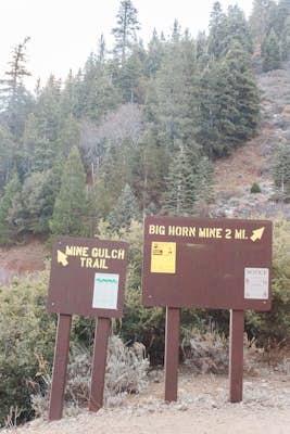 Bighorn Mine Trail