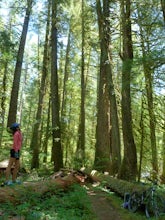 Mountain Bike the McKenzie River Trail